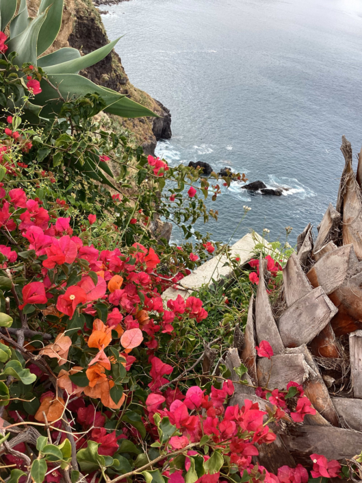 Yoga Retreat auf Madeira 2022